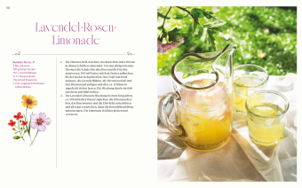 Picknick mit Jane Austen