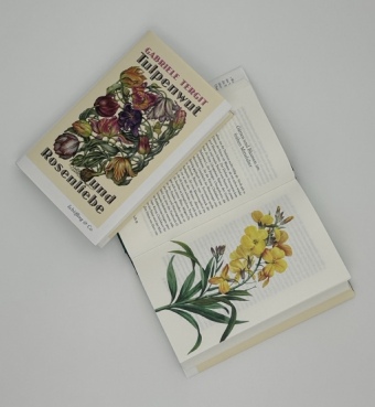 Tulpenwut und Rosenliebe