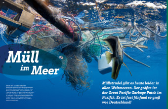 WAS IST WAS Umwelt schützen. Gemeinsam was bewegen