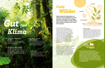 WAS IST WAS Der Wald. Zwischen Blättern und Zapfen 