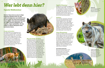 WAS IST WAS Der Wald. Zwischen Blättern und Zapfen 