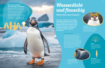 WAS IST WAS Pinguine. Immer cool drauf 