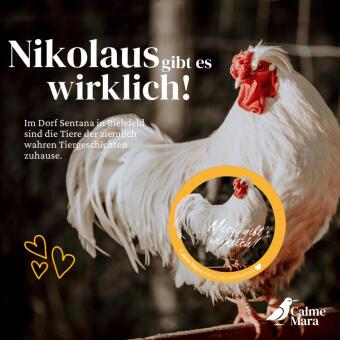 Der etwas andere Nikolaus