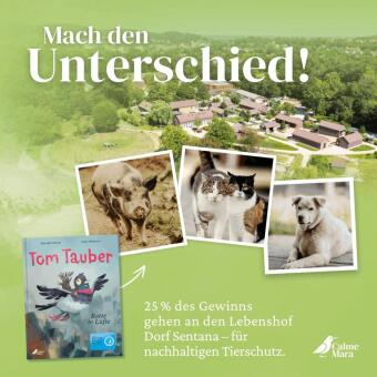 Tom Tauber - Ratte der Lüfte