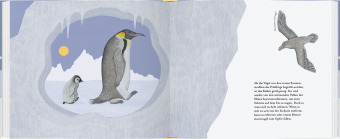 Kleiner Pinguin, bald bist du groß!