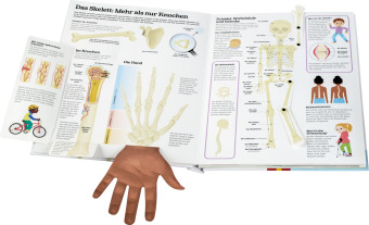 Mein großes Körperbuch