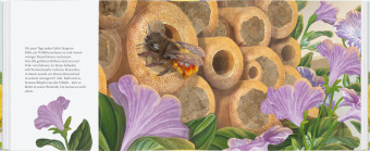 Ich bau dir ein Haus, kleine Wildbiene 