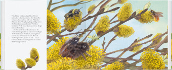 Ich bau dir ein Haus, kleine Wildbiene 