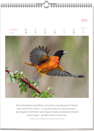 Literarischer Vogel Kalender 2027