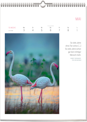 Literarischer Vogel Kalender 2027