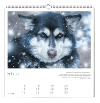 Der große literarische Hunde Kalender 2027