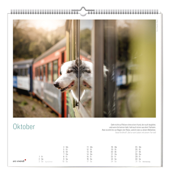 Der große literarische Hunde Kalender 2027
