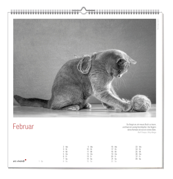 Der grosse literarische Katzen Kalender 2027