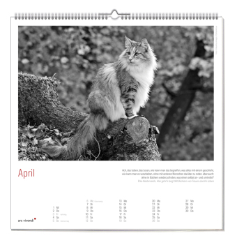 Der grosse literarische Katzen Kalender 2027