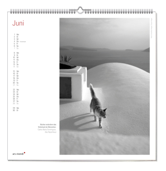Der grosse literarische Katzen Kalender 2027