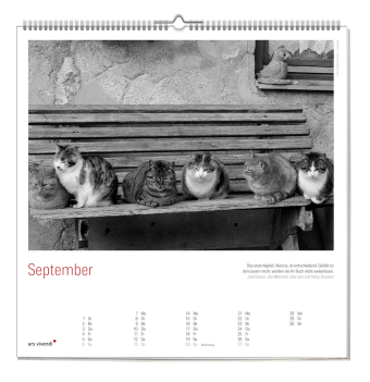 Der grosse literarische Katzen Kalender 2027