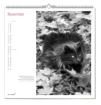 Der grosse literarische Katzen Kalender 2027