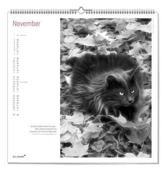 Der grosse literarische Katzen Kalender 2027