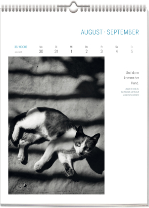 Literarisch durchs Jahr - Katzen 2027