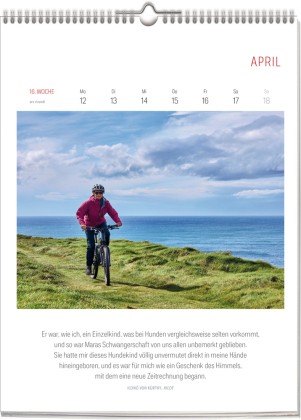 Literarischer Fahrrad Kalender 2027