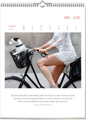 Literarischer Fahrrad Kalender 2027
