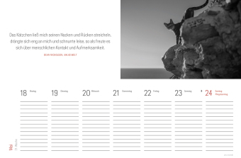 Tischkalender Katzen 2027