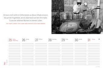 Tischkalender Katzen 2027