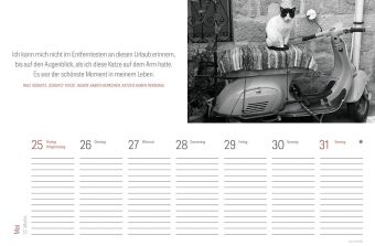 Tischkalender Katzen 2027