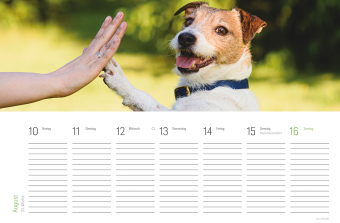 Tischkalender Hunde 2027