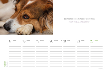 Tischkalender Hunde 2027