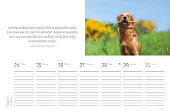 Tischkalender Hunde 2027