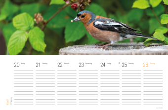 Tischkalender Vogel 2027
