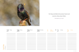 Tischkalender Vogel 2027