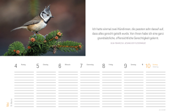 Tischkalender Vogel 2027