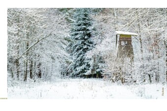 Escape Christmas - Der Adventskalender zum Auftrennen