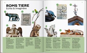 LONELY PLANET Reiseführer Entdecke Rom