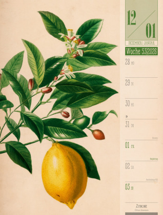 Culinarium Wochenplaner Kalender 2027 | Küche, Kräuter, Kurioses