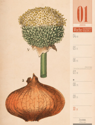 Culinarium Wochenplaner Kalender 2027 | Küche, Kräuter, Kurioses