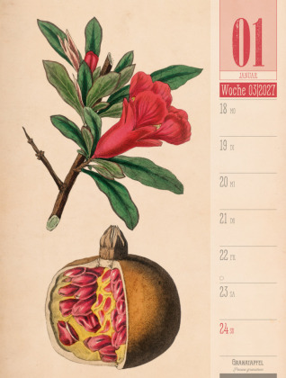 Culinarium Wochenplaner Kalender 2027 | Küche, Kräuter, Kurioses