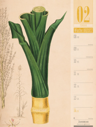 Culinarium Wochenplaner Kalender 2027 | Küche, Kräuter, Kurioses