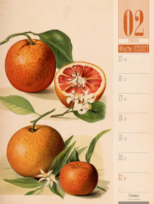 Culinarium Wochenplaner Kalender 2027 | Küche, Kräuter, Kurioses