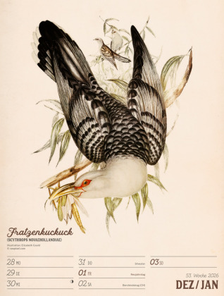 Wunderbare Vogelwelt Wochenplaner Kalender 2027