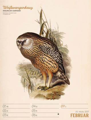 Wunderbare Vogelwelt Wochenplaner Kalender 2027