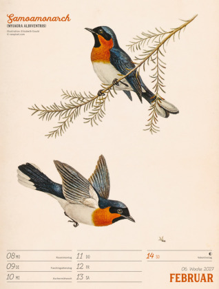 Wunderbare Vogelwelt Wochenplaner Kalender 2027