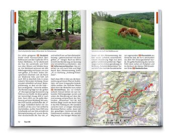 KOMPASS Wanderführer Odenwald, Bergstraße, Neckartal, Heidelberg, 60 Touren mit Extra-Tourenkarte
