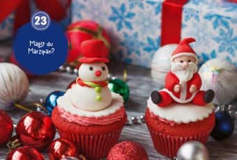 Mein WAS IST WAS Adventskalenderbuch 4