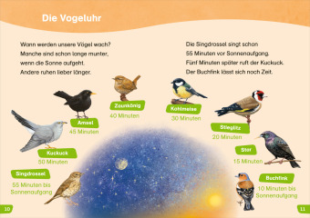 WAS IST WAS Erstes Lesen easy! Wie leben unsere Vögel?