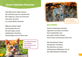 WAS IST WAS Erstes Lesen easy! Katzen - meine Lieblingstiere