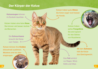 WAS IST WAS Erstes Lesen easy! Katzen - meine Lieblingstiere