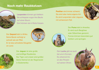 WAS IST WAS Erstes Lesen easy! Katzen - meine Lieblingstiere